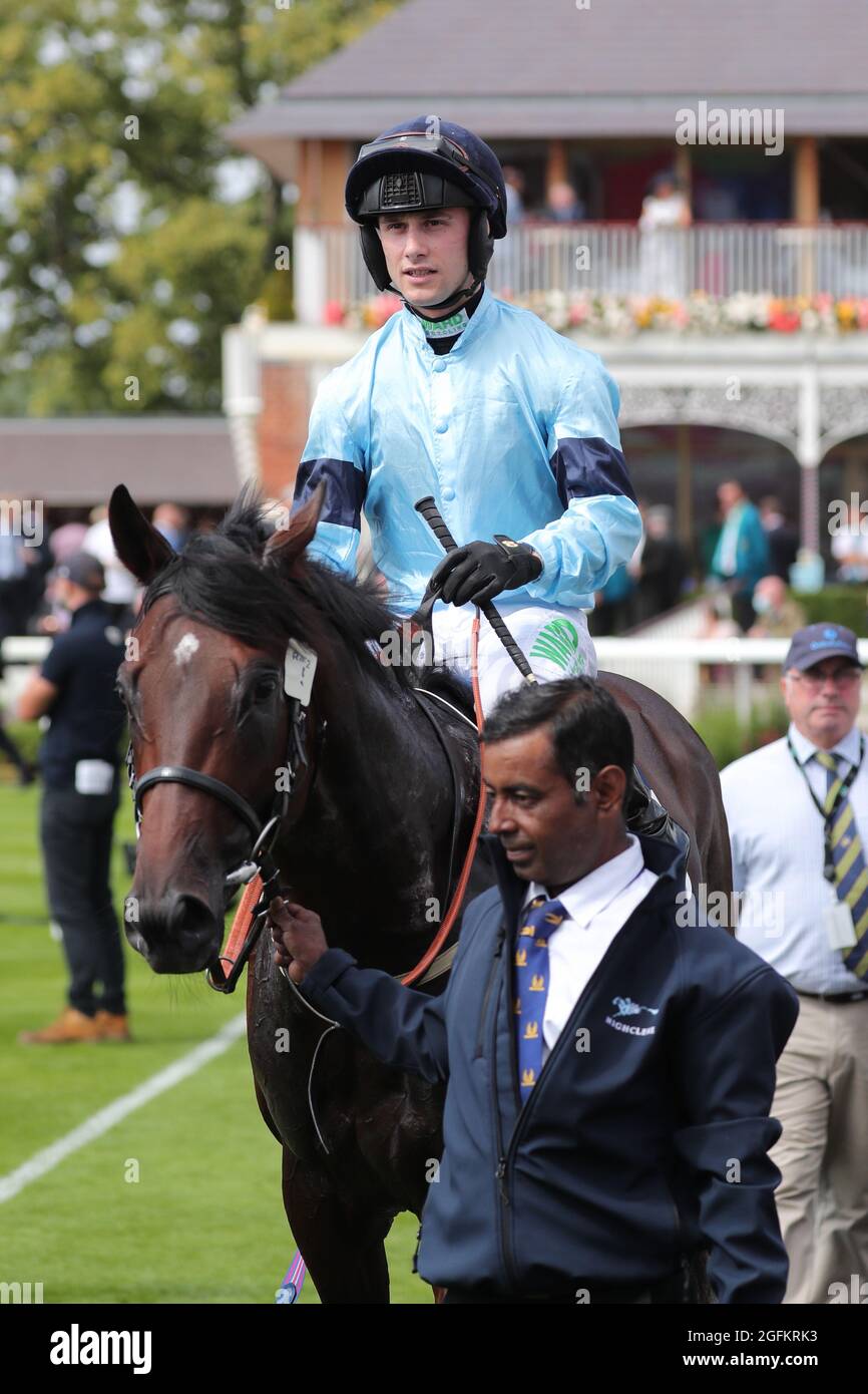 PATRONAGE ROYAL, MONTÉ JASON HART, 2021 Banque D'Images