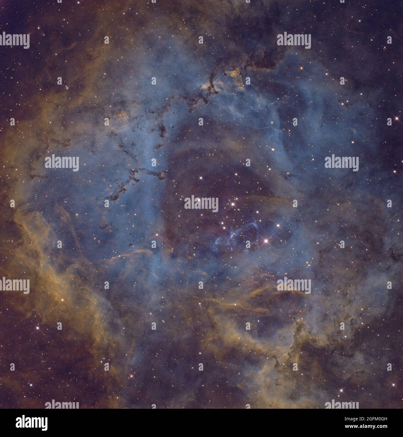 Le NGC 2237, également connu sous le nom de Rosette Nebula, est situé près d'une extrémité d'un nuage moléculaire géant dans la région des monoceros de la galaxie de la voie lactée. Banque D'Images