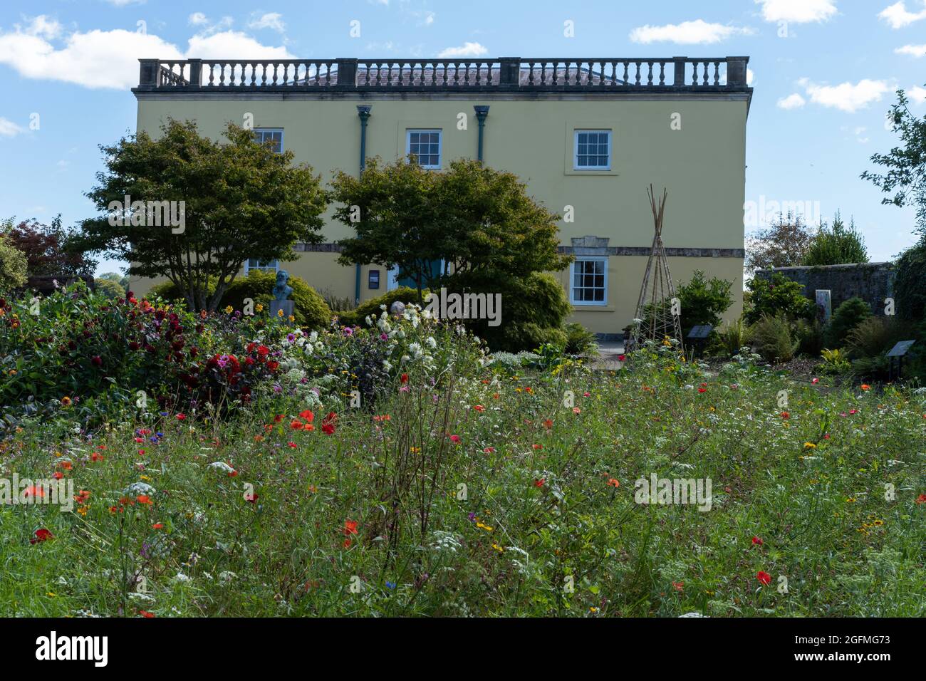 Le National Botanic Garden of Wales, Llanarthney, Carmarthenshire, pays de Galles, Royaume-Uni, présente la plus grande serre à travée unique au monde. Banque D'Images