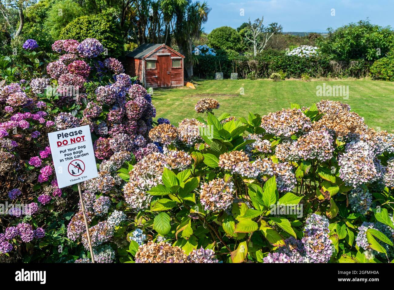 Baltimore, West Cork, Irlande. 26 août 2021. Sur ce qui est prévu pour être le jour le plus chaud de cette semaine avec des températures atteignant 26C, un panneau dans un jardin donne un aperçu des problèmes auxquels le propriétaire de la propriété est confronté. Crédit : AG News/Alay Live News Banque D'Images