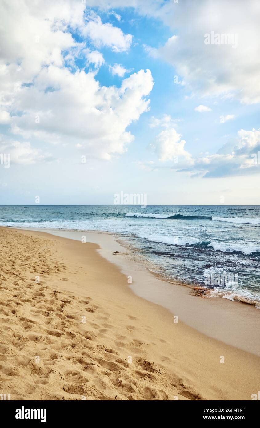 Image d'une plage de sable tropical. Banque D'Images