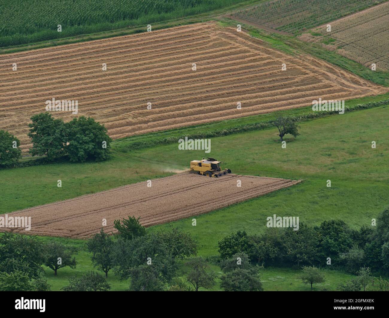 Vue aérienne de la récolteuse de couleur jaune récoltant du grain sur un champ agricole entouré d'arbres et de prairies vues depuis le sommet de la colline de Limbourg. Banque D'Images
