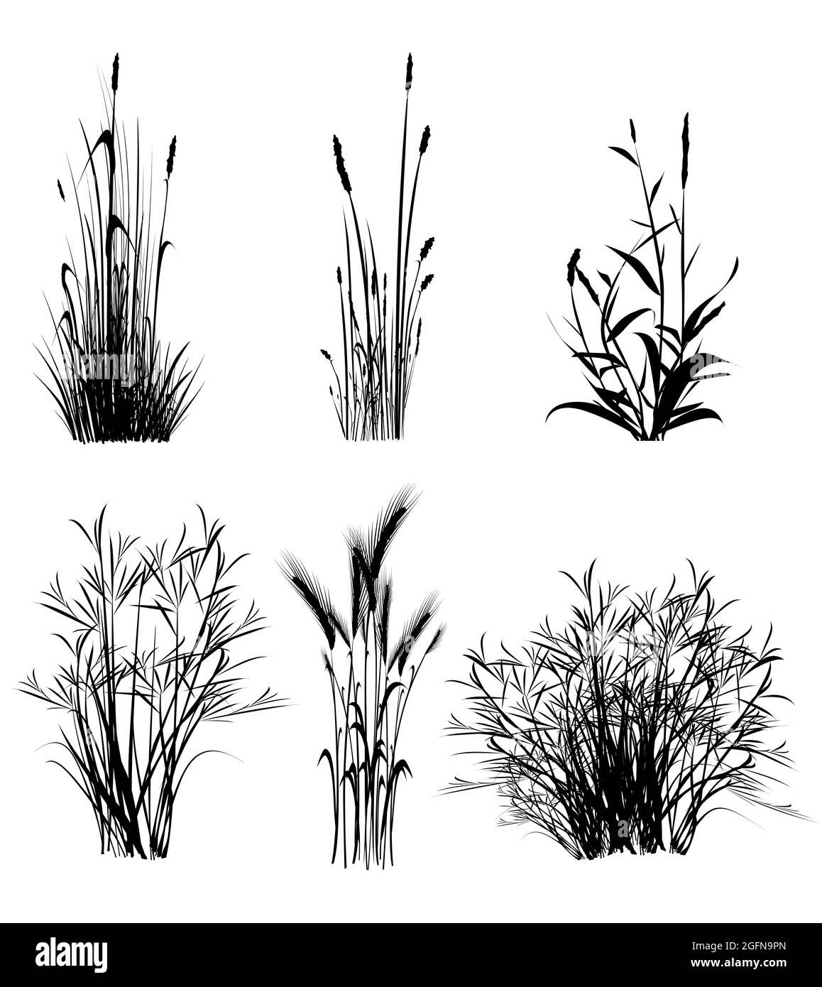 Illustration d'une silhouette isolée de formes d'herbe de couleur noire sur fond blanc. Banque D'Images