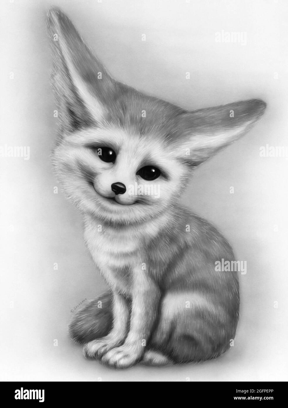 Bebe Renard Dessin Aquarelle Banque D Images Noir Et Blanc Alamy