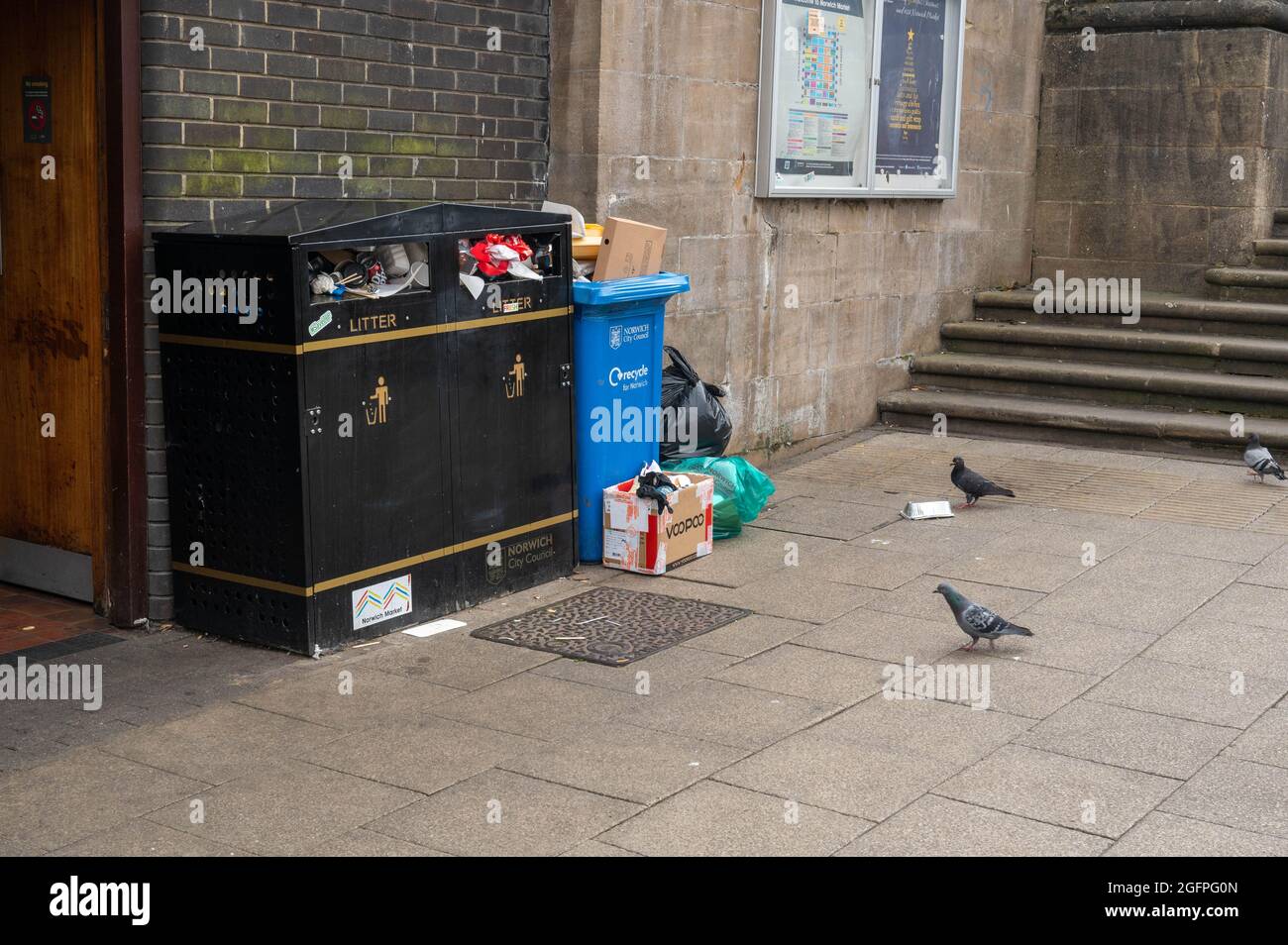 Bacs à litière et bac bleu du centre-ville de Norwich débordant de déchets et de pigeons à la recherche de nourriture sur le trottoir à côté de quelques marches Banque D'Images