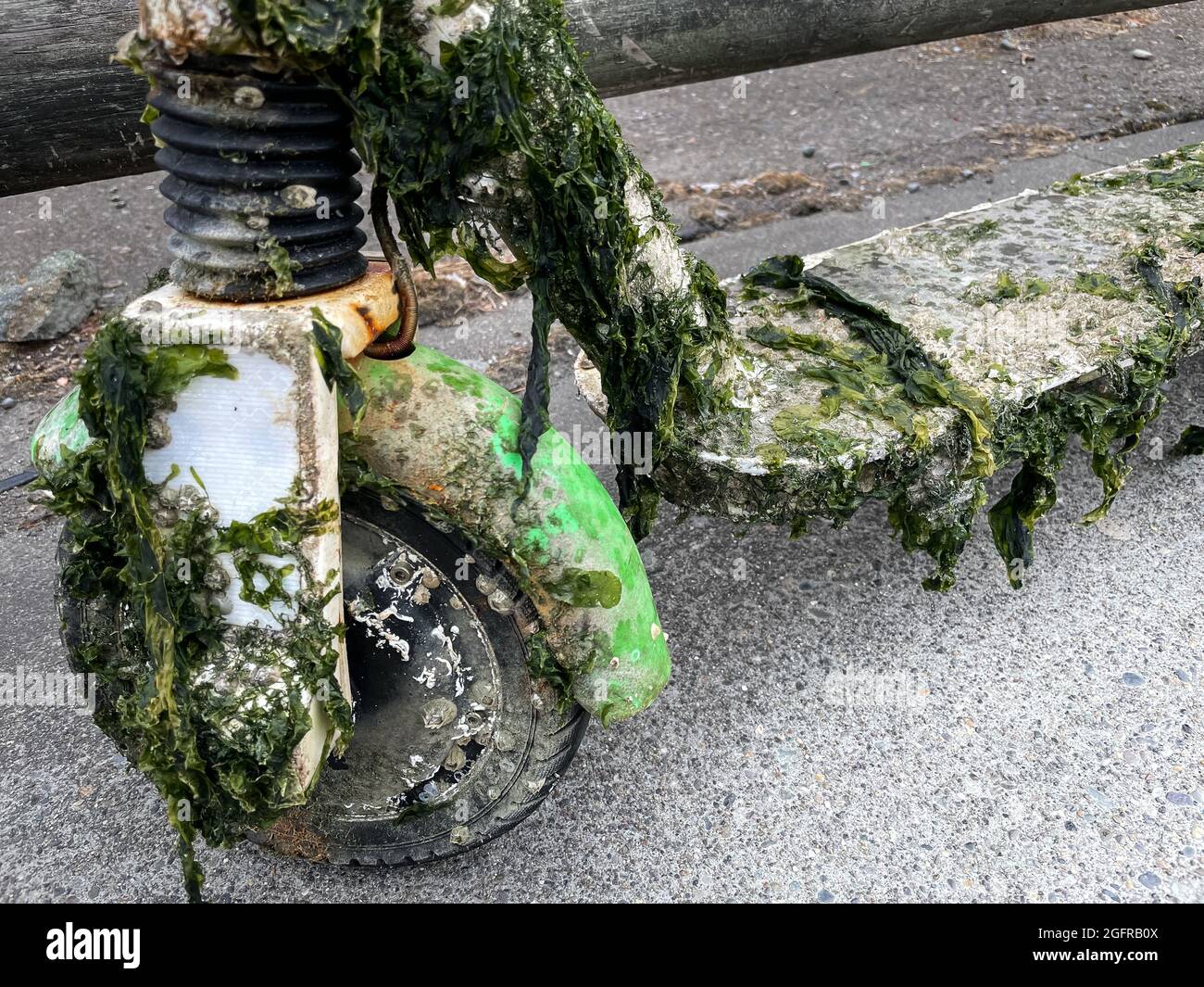 Scooter de balane Banque de photographies et d’images à haute