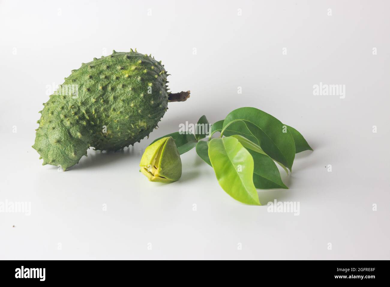 green sour sop fruit avec feuilles et fleur pour le traitement anti cancer concept Banque D'Images