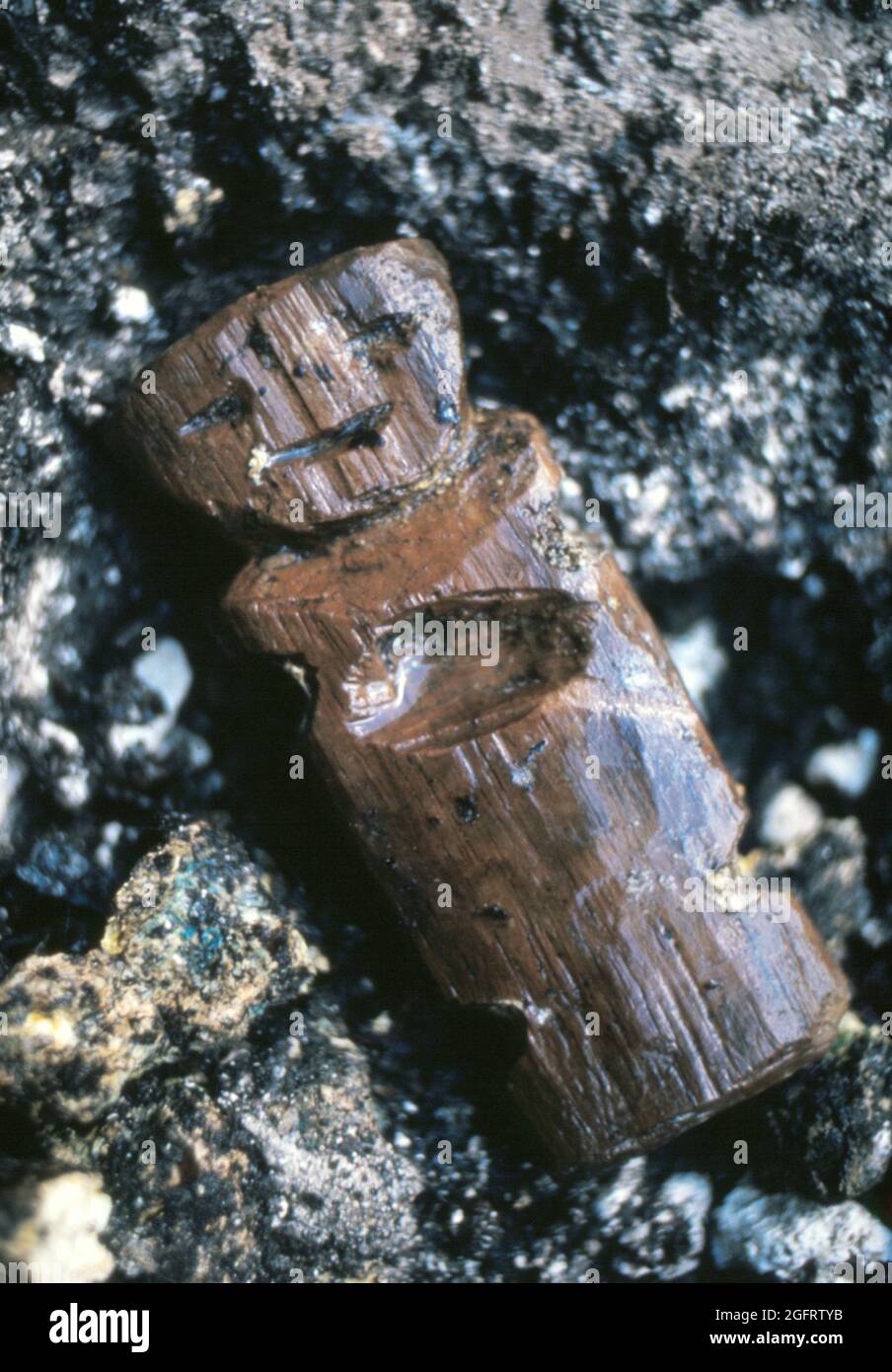 Figurine en bois extraite du cenote sacré de Chichen Itza par l'équipe archéologique de 1967 sous la direction de Román Piña Chán. Photo de Phillip Harrington Banque D'Images