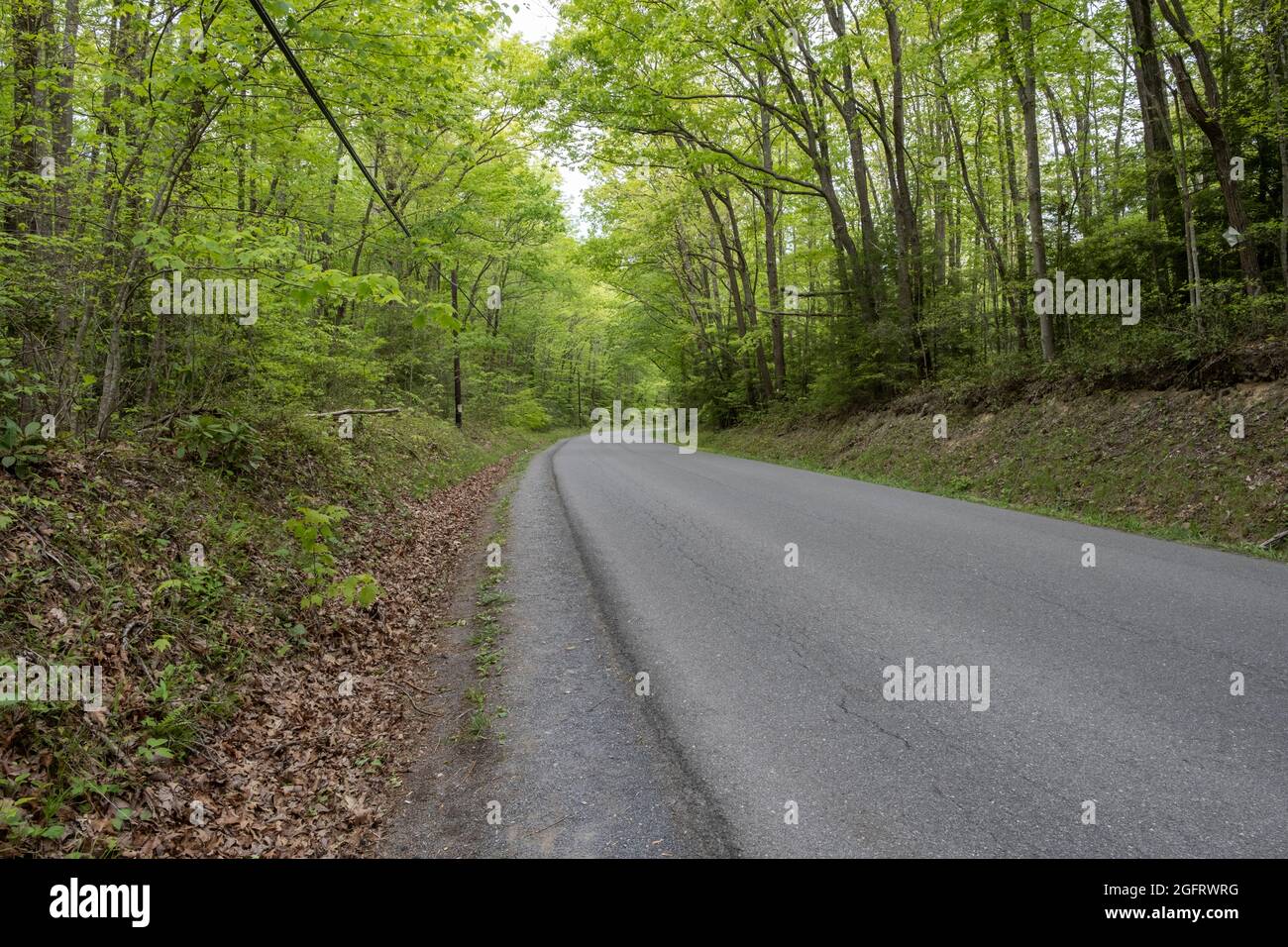 Parc national de New River gorge, Virginie-Occidentale. Chemin Lansing-Edmond entre les parcs de stationnement Fern Creek Trailhead et Nuttall Trailhead. Banque D'Images