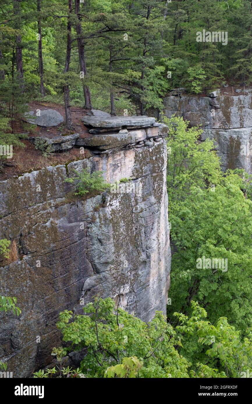 Parc national de New River gorge, Virginie-Occidentale. Vue sur le mur sans fin depuis le point de vue de Trail. Banque D'Images