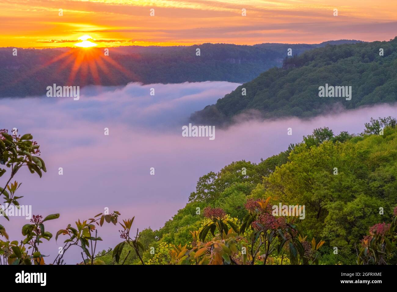 Parc national de New River gorge, Virginie-Occidentale. Lever de soleil sur la gorge de la Nouvelle rivière depuis Kaymoor View point. Brume matinale dans la gorge. Banque D'Images