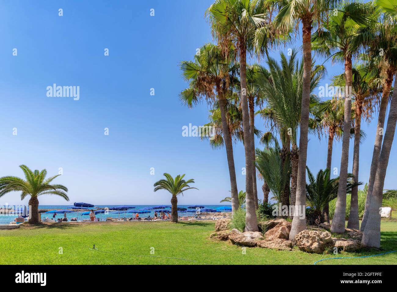 Palmiers sur une plage tropicale à Ayia Napa, Chypre. Banque D'Images