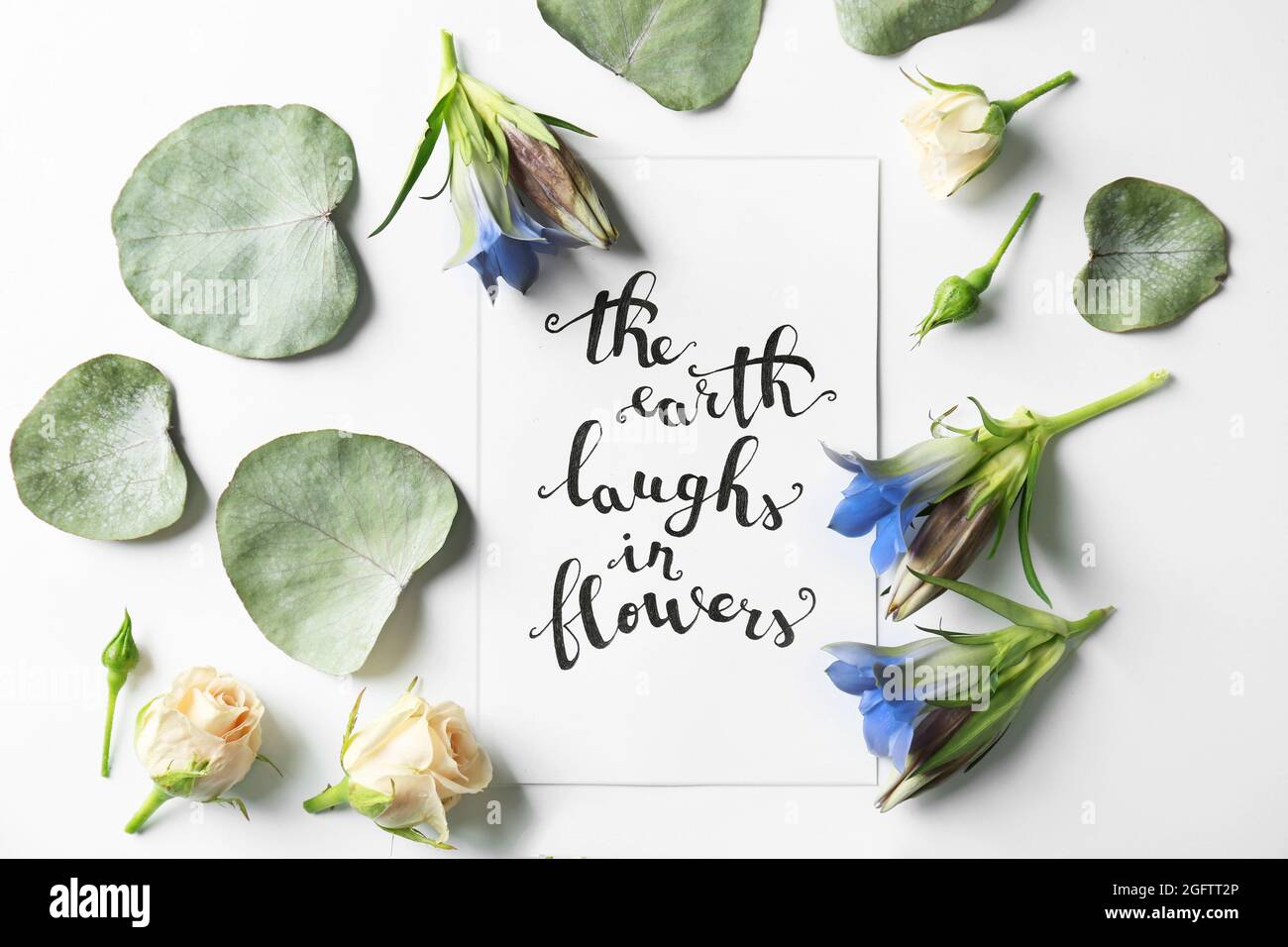 Citation La Terre Rigolant En Fleurs Ecrite Sur Papier Avec Des Feuilles Et Des Fleurs Sur Fond Blanc Vue De Dessus Photo Stock Alamy