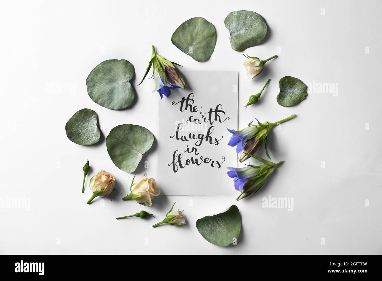 Citation La Terre Rigolant En Fleurs Ecrite Sur Papier Avec Des Feuilles Et Des Fleurs Sur Fond Blanc Vue De Dessus Photo Stock Alamy