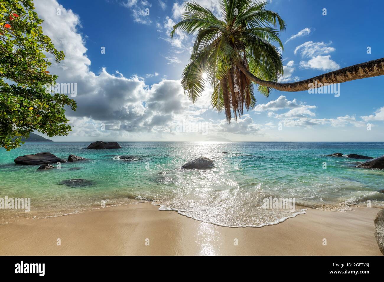Coco Palmiers Au Coucher Du Soleil Sur La Plage Tropicale Dans L Ile Paradisiaque Photo Stock Alamy