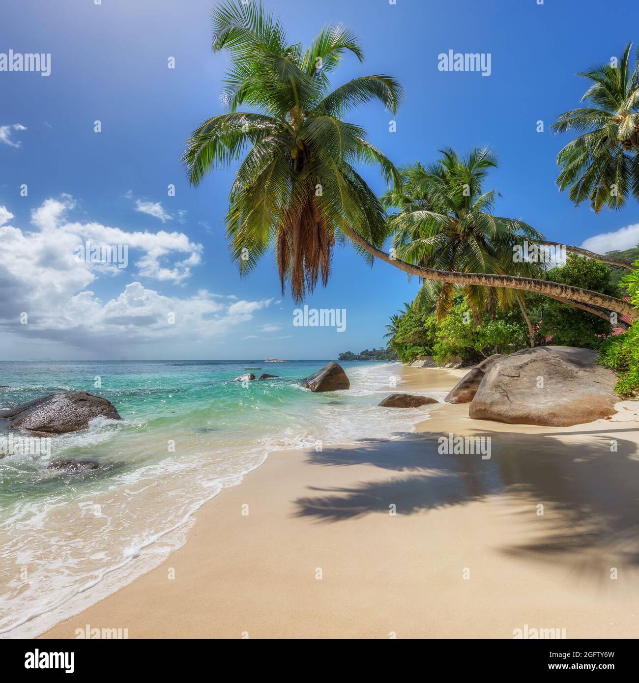 Paradis tropical plage ensoleillée. Vacances d'été et concept de plage tropicale. Banque D'Images