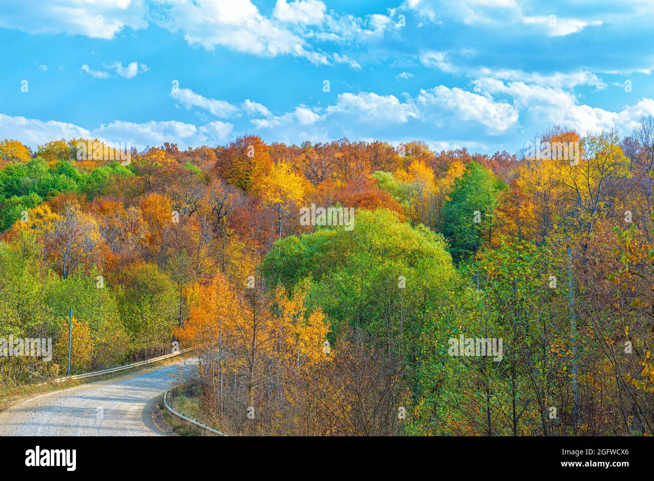 Paysage de la forêt d'automne au mois d'octobre Banque D'Images