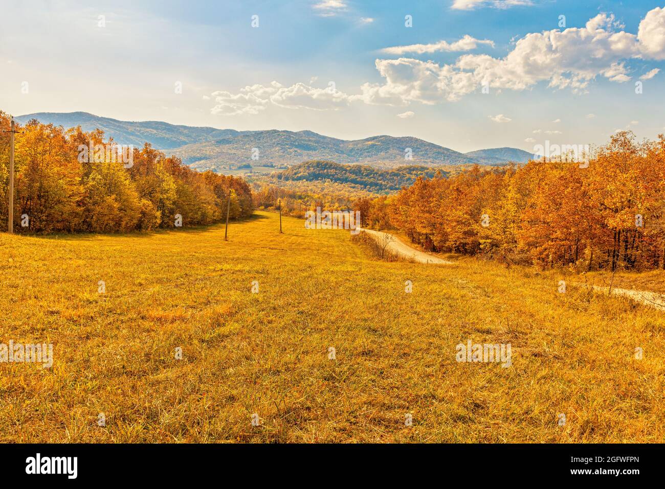 Une grande défrichement dans la forêt d'automne avec une route de champ Banque D'Images