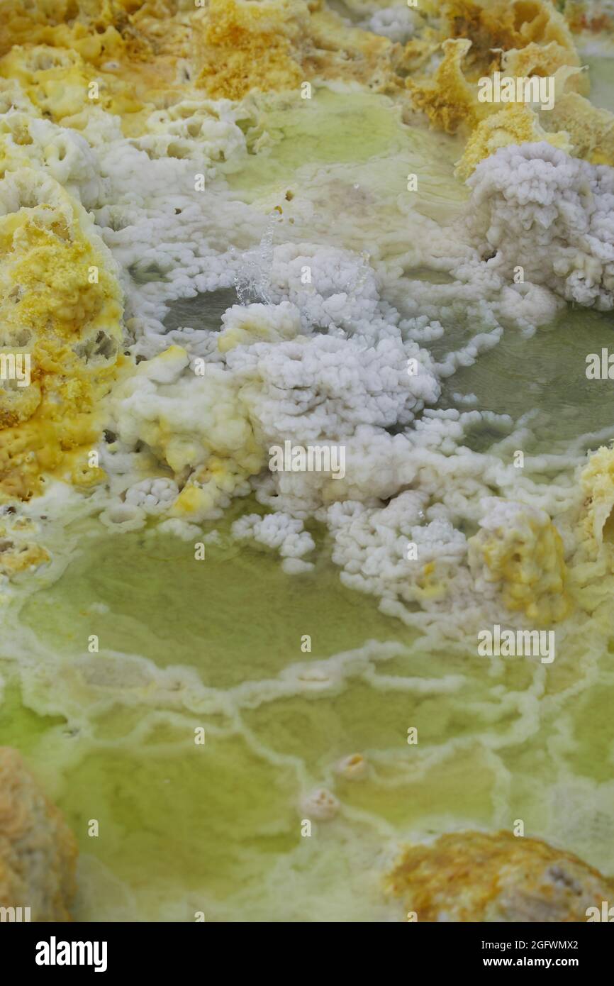 Champs de soufre à la base du volcan Dallol, Éthiopie. Connu comme l'endroit le plus chaud sur terre en fonction des températures moyennes Banque D'Images