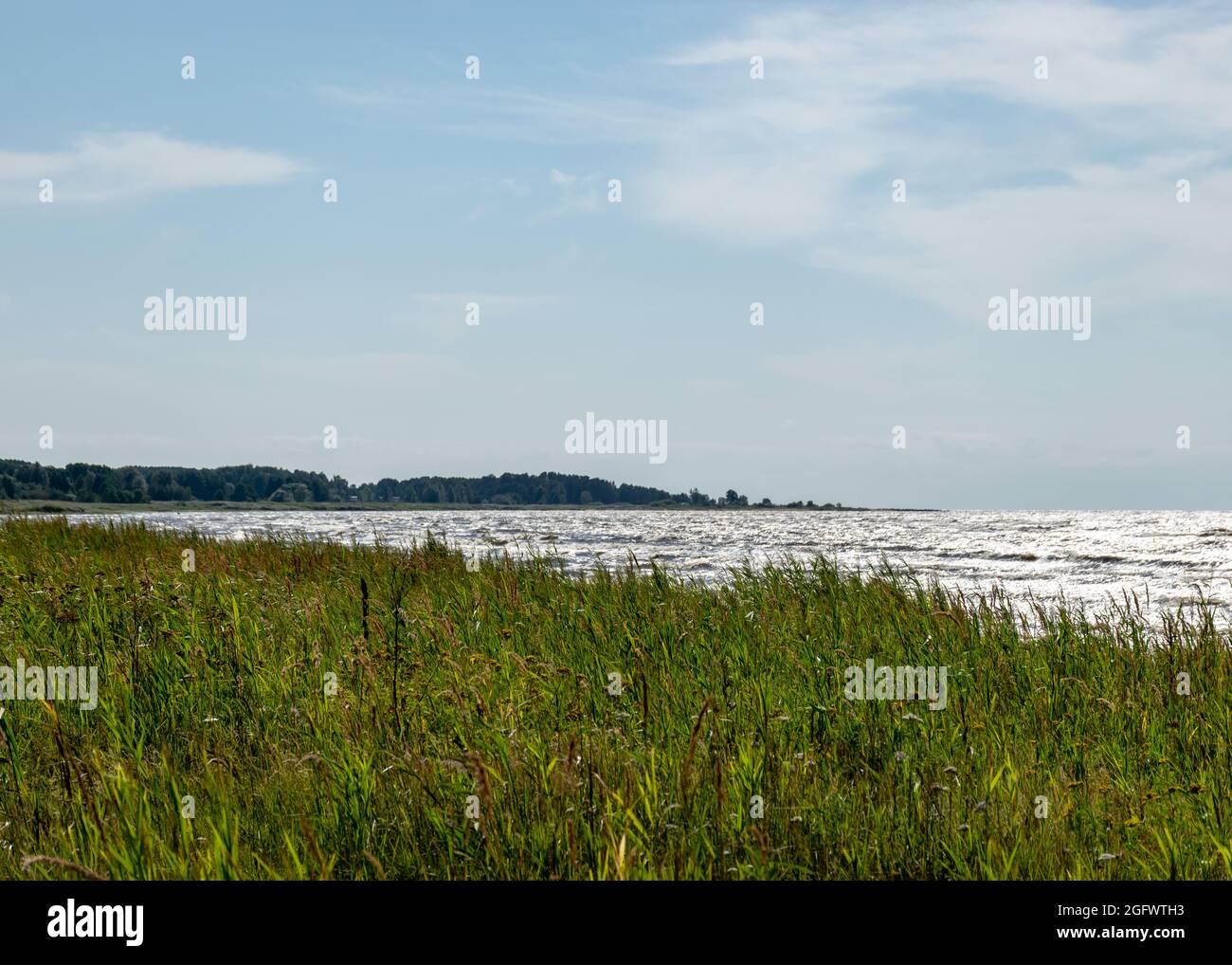 Paysage de bord de mer traditionnel d'Estonie, herbes marines et rochers dans les eaux peu profondes, centre ornithologique de Kabli, baie de Parnu, Estonie Banque D'Images