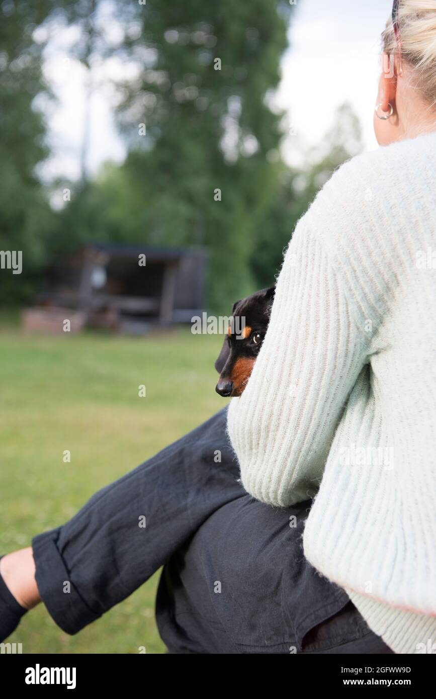 Woman holding puppy Banque D'Images