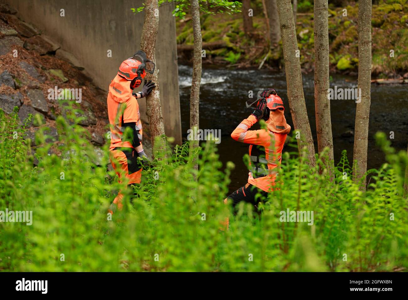 Bûcherons femelles travaillant en forêt Banque D'Images