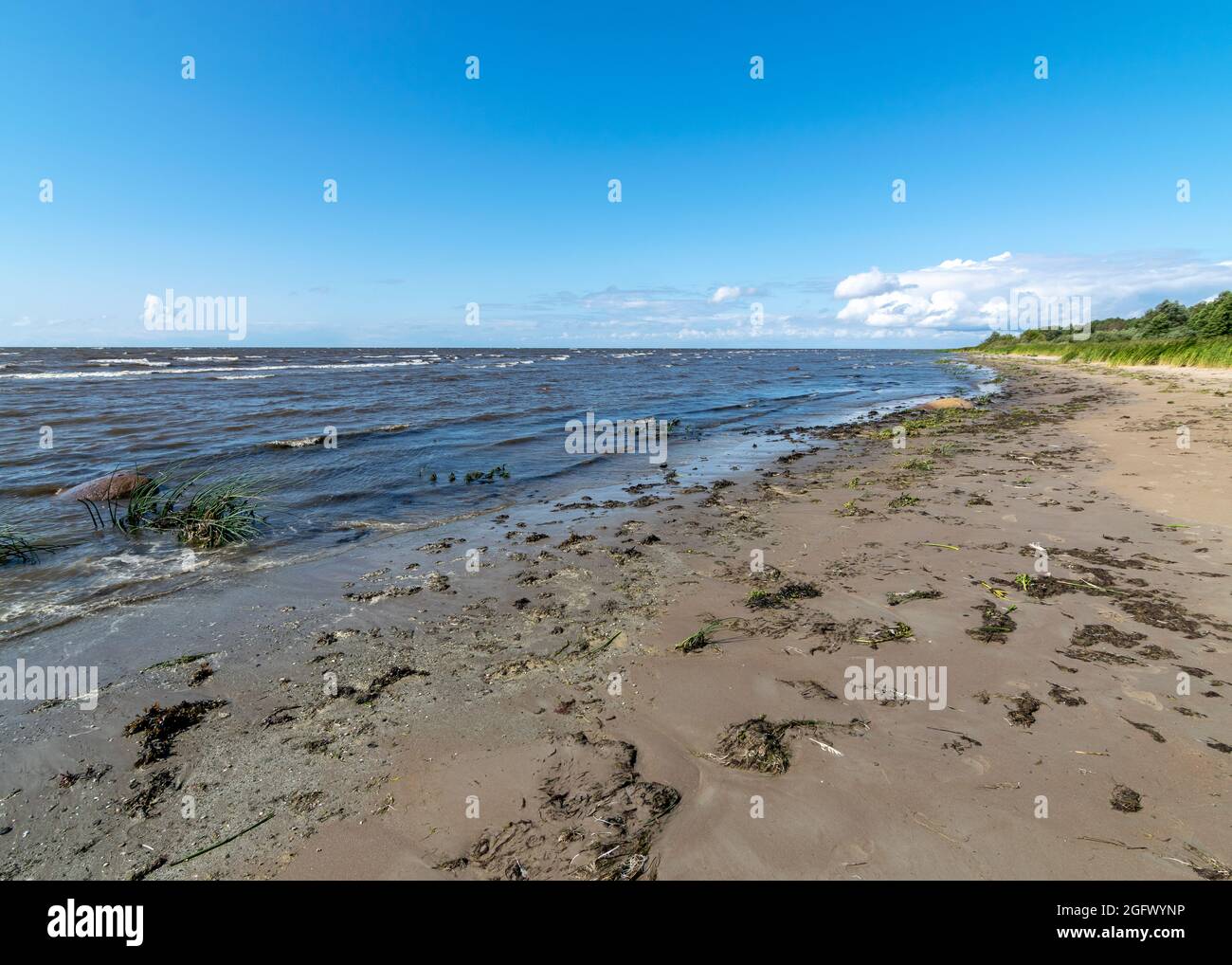 Paysage de bord de mer traditionnel d'Estonie, herbes marines et rochers dans les eaux peu profondes, centre ornithologique de Kabli, baie de Parnu, Estonie Banque D'Images