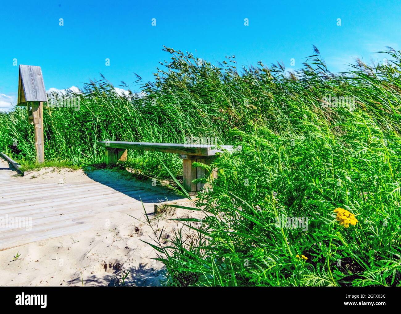 Paysage traditionnel de bord de mer d'Estonie, vue sur le centre ornithologique de Kabli, baie de Parnu, Estonie Banque D'Images