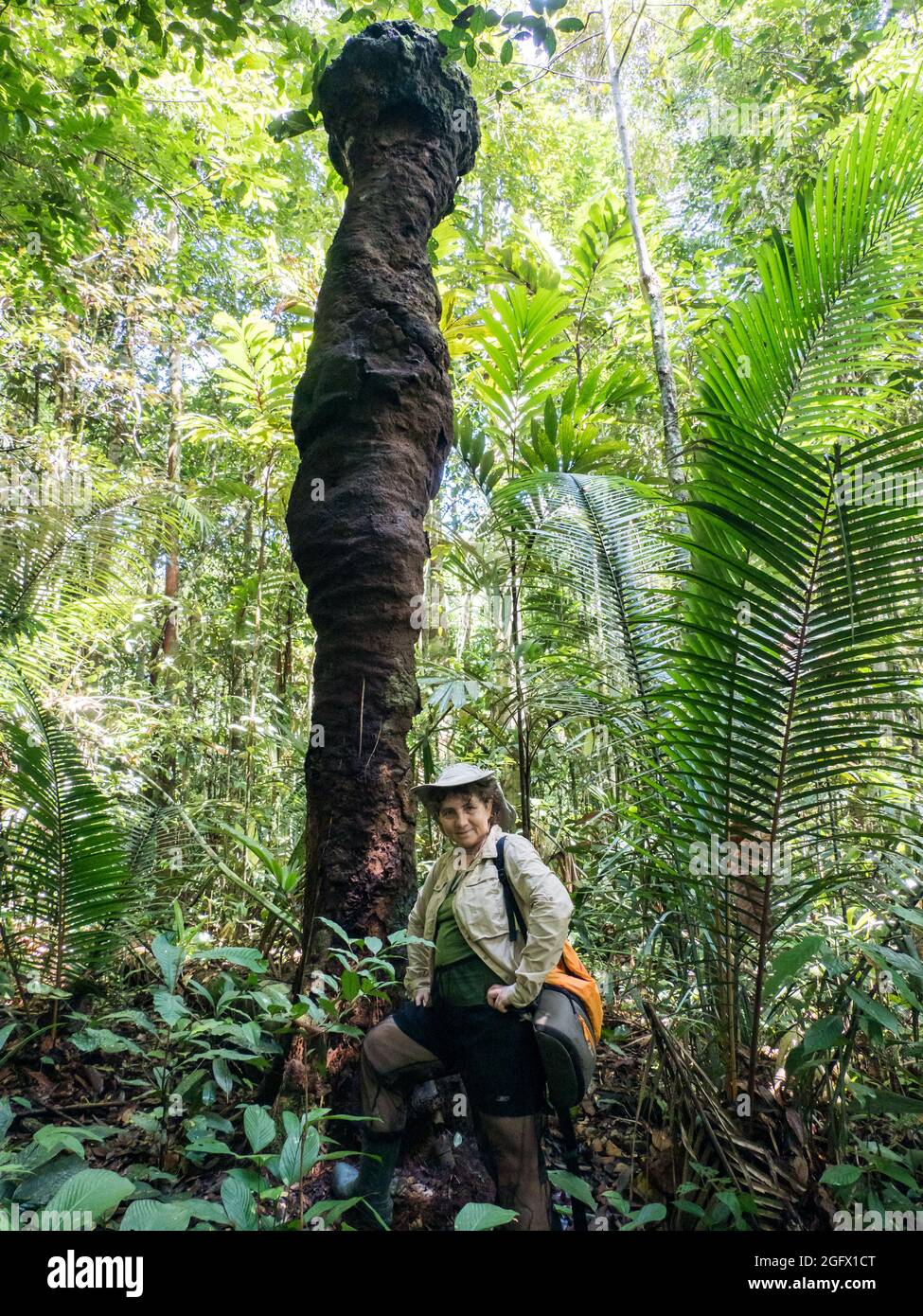 Femme caucasienne à côté d'un énorme termite dans la forêt amazonienne. Amazonie, Brésil, Amérique du Sud. Banque D'Images