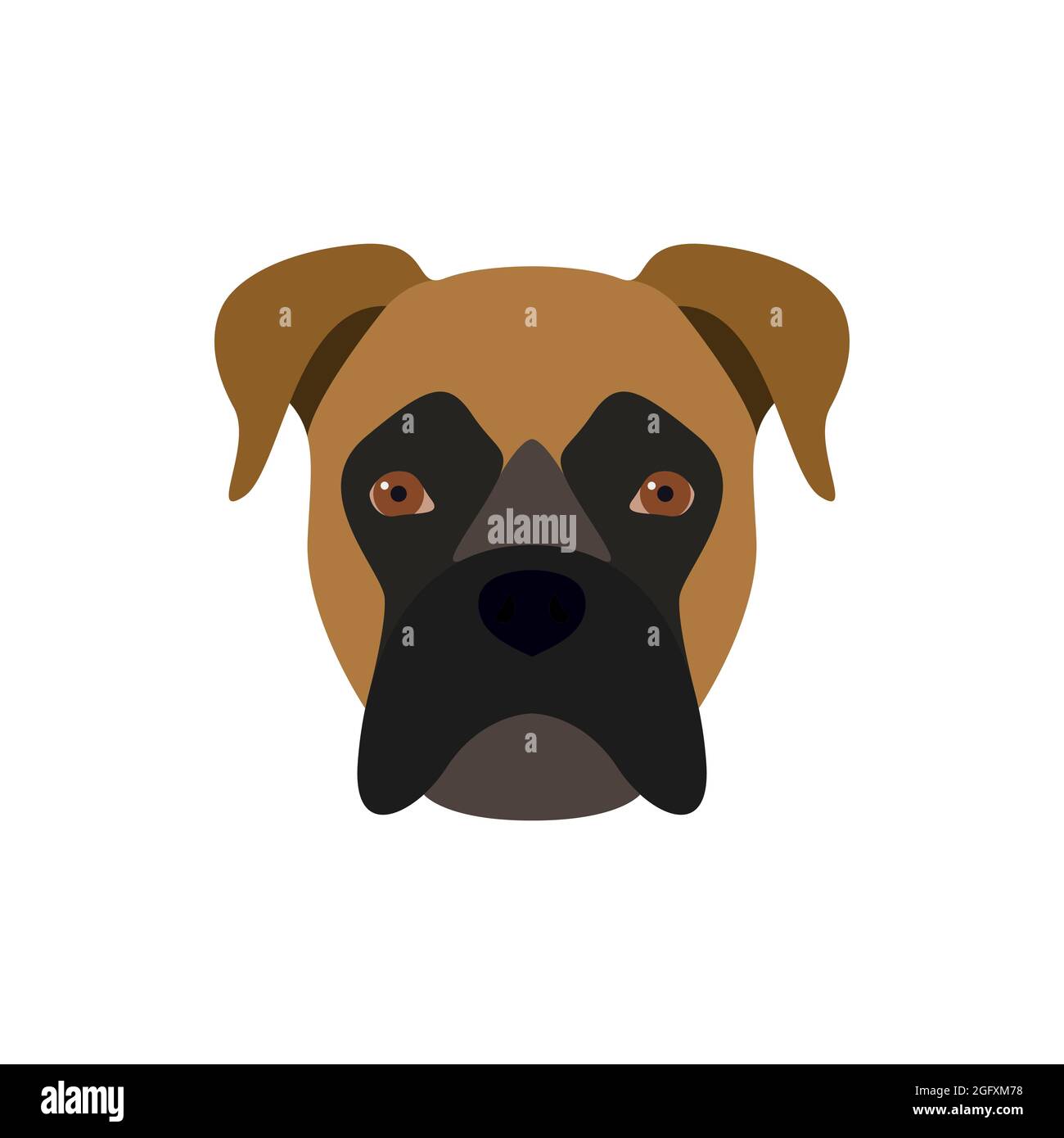 Boxer est un chien. Image vectorielle de la tête d'un chien. Illustration de Vecteur