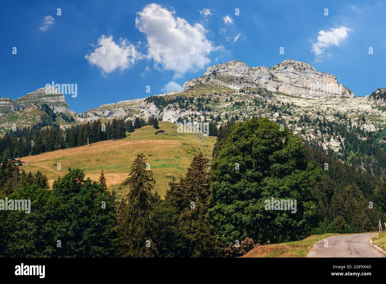 Belle vue panoramique sur les sommets de la Tour de Mayen et de la Tour d'Aï en été dans les Alpes à Leysin près d'Aigle, canton de Vaud, Suisse Banque D'Images