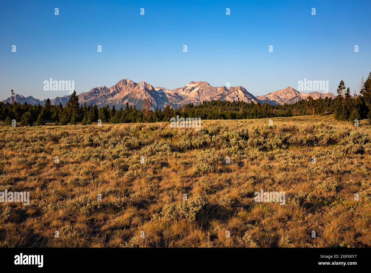 ID00850-00...IDAHO - petit feu sur la chaîne Sawtooth. Banque D'Images