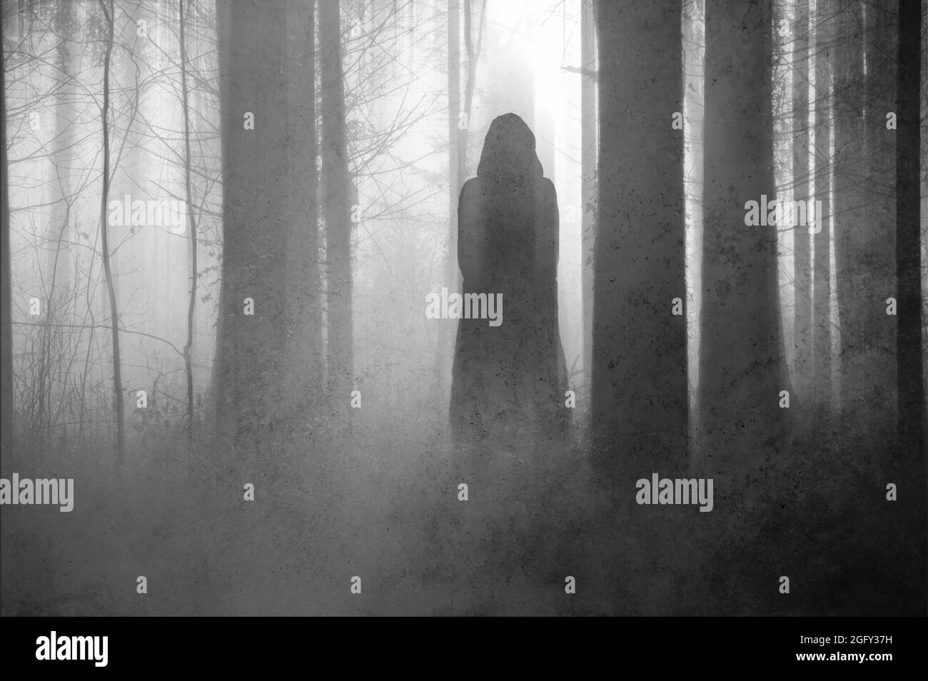 Un concept de fantaisie sombre . D'une mystérieuse femme de retour à la caméra, dans une forêt sinistre. Avec une modification floue et abstraite. Banque D'Images