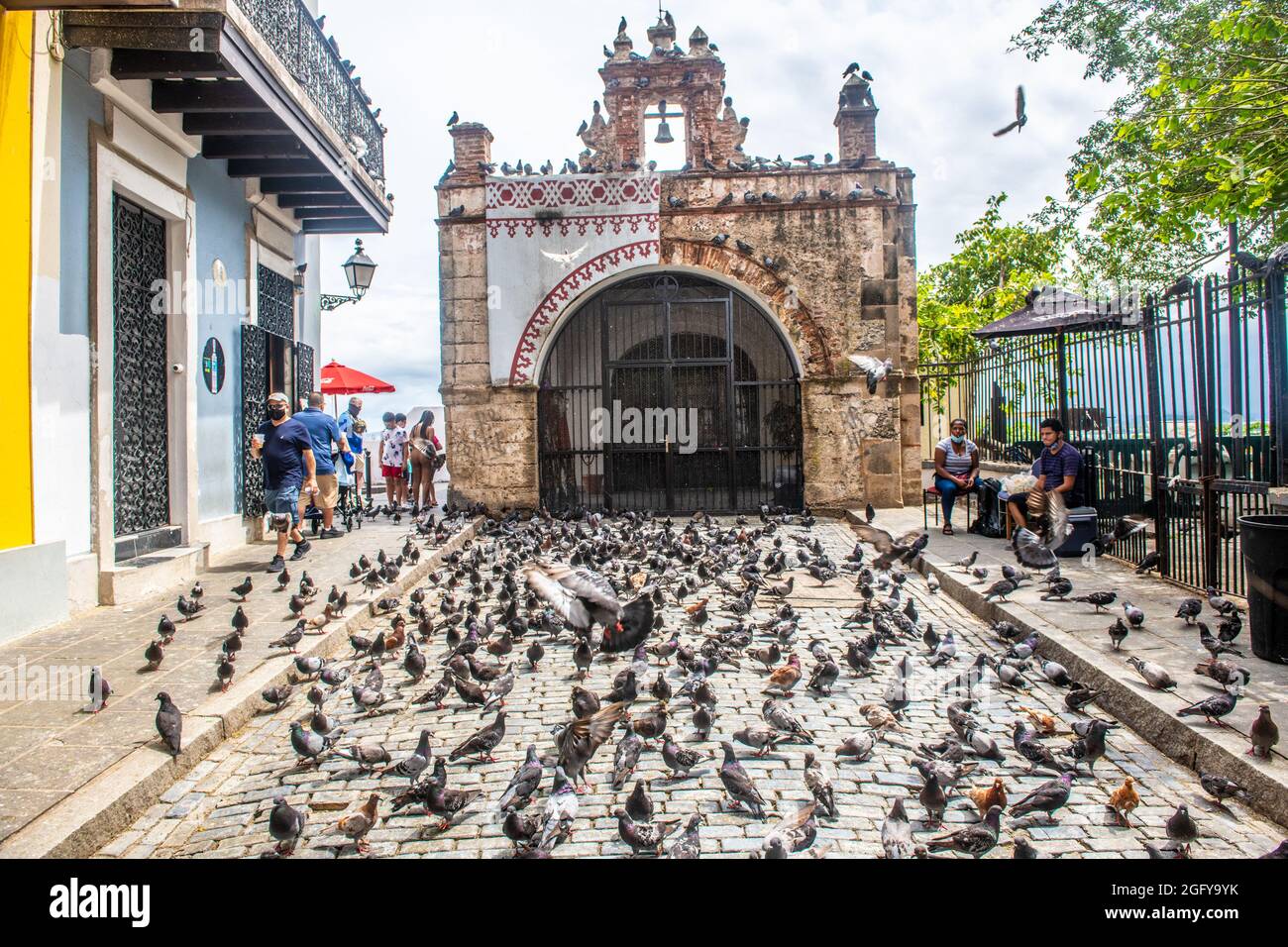 Les pigeons inondent les rues du Vieux San Juan - Porto Rico Banque D'Images