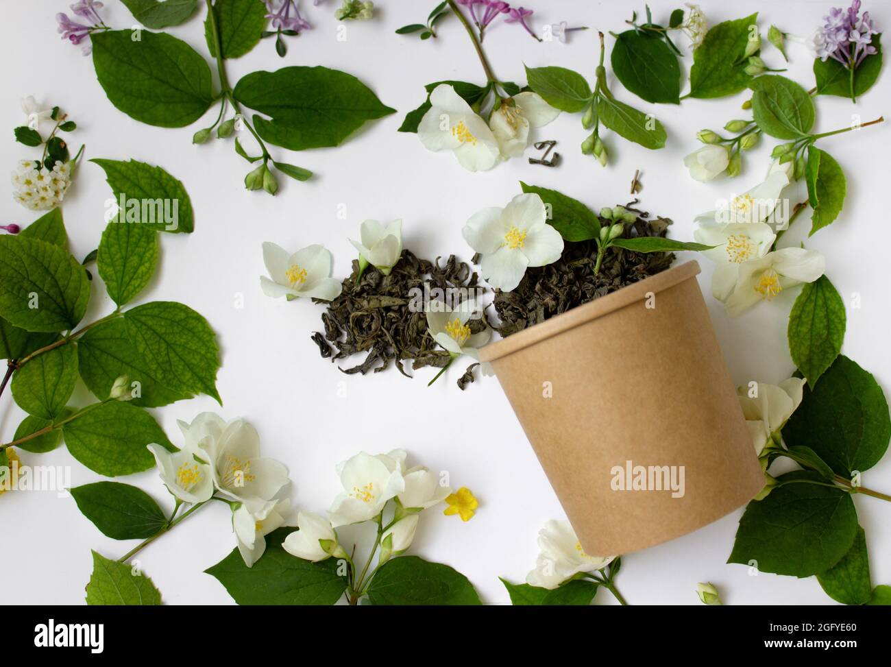 Thé de feuilles avec jasmin dans un carton rond sur fond blanc. Concept zéro déchet Banque D'Images