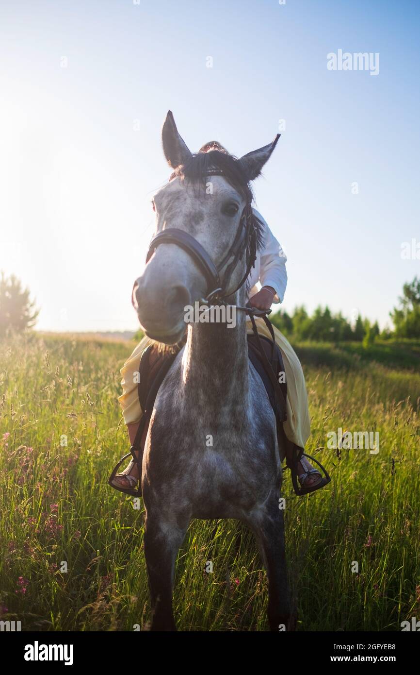 Jeune caucasienne belle femme passant du temps avec son cheval marchant sur le terrain. Banque D'Images