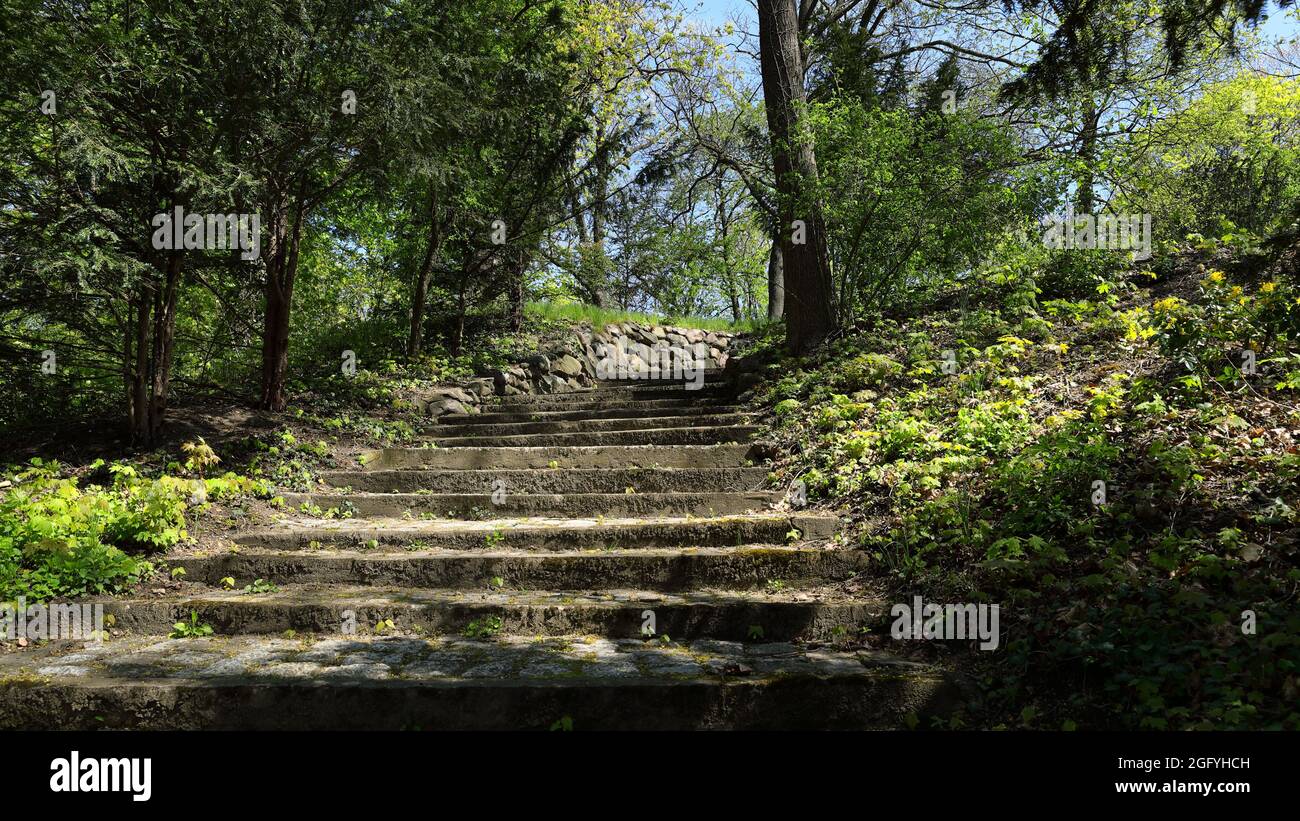 Vieux escalier en pierre dans un parc botanique de banlieue Banque D'Images