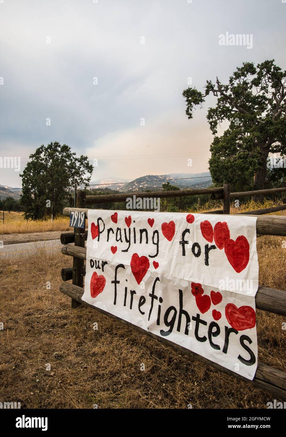 Feu de cèdre dans la forêt nationale de Sequoia près de Kernville, CA, le 22 août 2016. Photo USDA par lance Cheung. Pour plus d'informations, voir: www.usda.gov www.fs.fed.us @usda @Forestservice Video le coeur d'un pompier https://youtu.be/QxJFIfkOQLY Banque D'Images