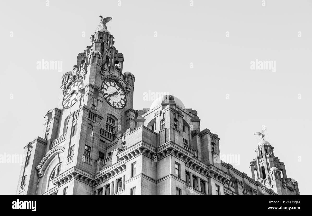 Image HDR monochrome du Royal Liver Building qui domine les gratte-ciel de Liverpool vu en août 2021. Banque D'Images