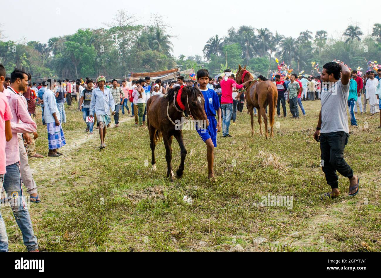 Course rurale de chevaux au sud 24 Parganas ouest bengale Banque D'Images