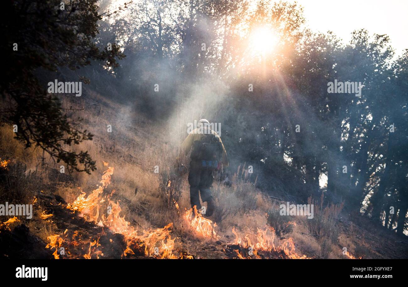 Le feu Thomas brûle dans les collines au-dessus de la forêt nationale de Los Padres lors d'une opération de tir le mercredi 20 décembre 2017. Le feu était de 272,600 acres et 65% contenu. Banque D'Images