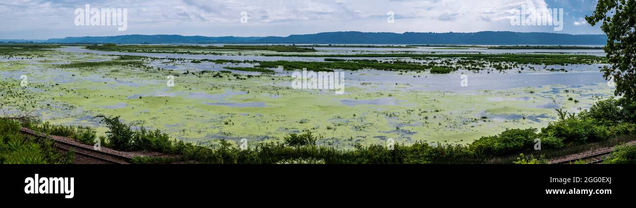 Mississippi River Wetlands Scenic Overlook, U.S. Highway 29, Minnesota. Wisconsin sur la rive opposée. Banque D'Images