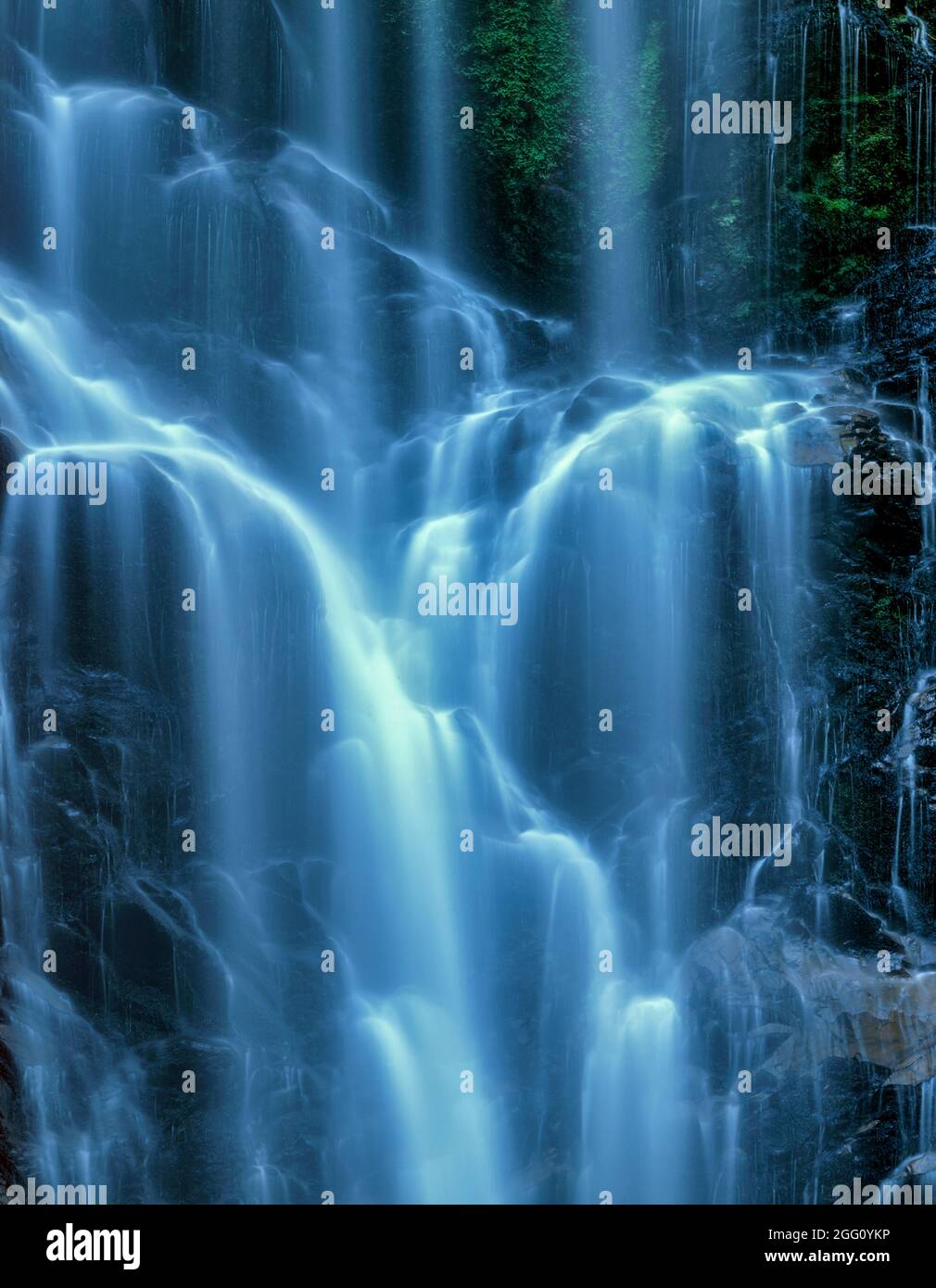 Berry Creek Falls, parc national de Big Basin Redwoods, comté de Santa Cruz, Californie Banque D'Images