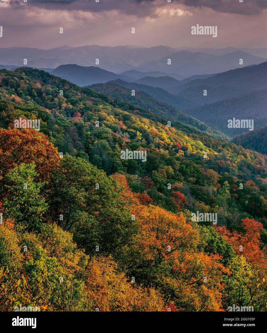 Automne au-dessus de Deep Creek, parc national des Great Smoky Mountains, Caroline du Nord Banque D'Images