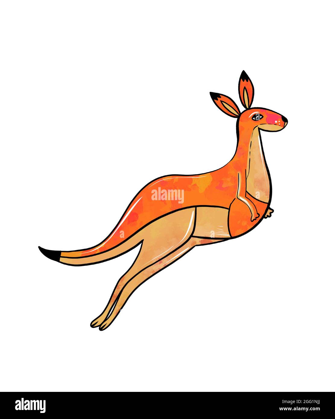 Funny kangaroo Banque de photographies et d'images à haute résolution -  Page 3 - Alamy