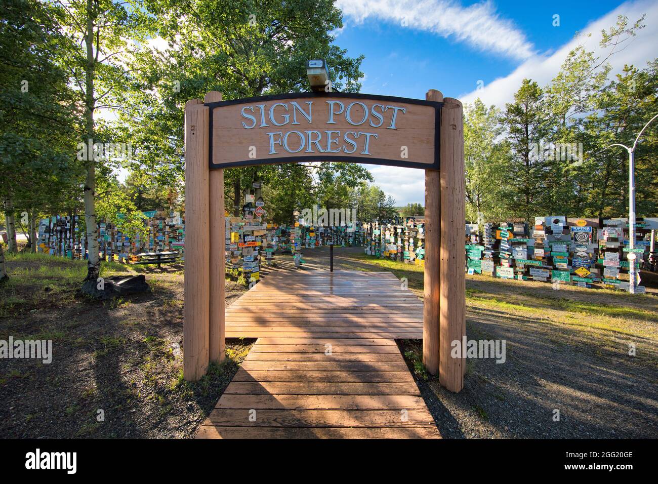 Signez Post Forest dans le canton de Watson Lake, Canada Banque D'Images