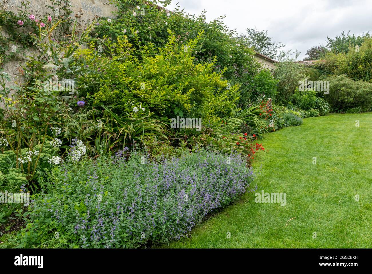 Houghton Lodge Gardens dans le Hampshire, Angleterre, Royaume-Uni, en août ou en été. Le long jardin avec jardin de la maison vivaces. Banque D'Images