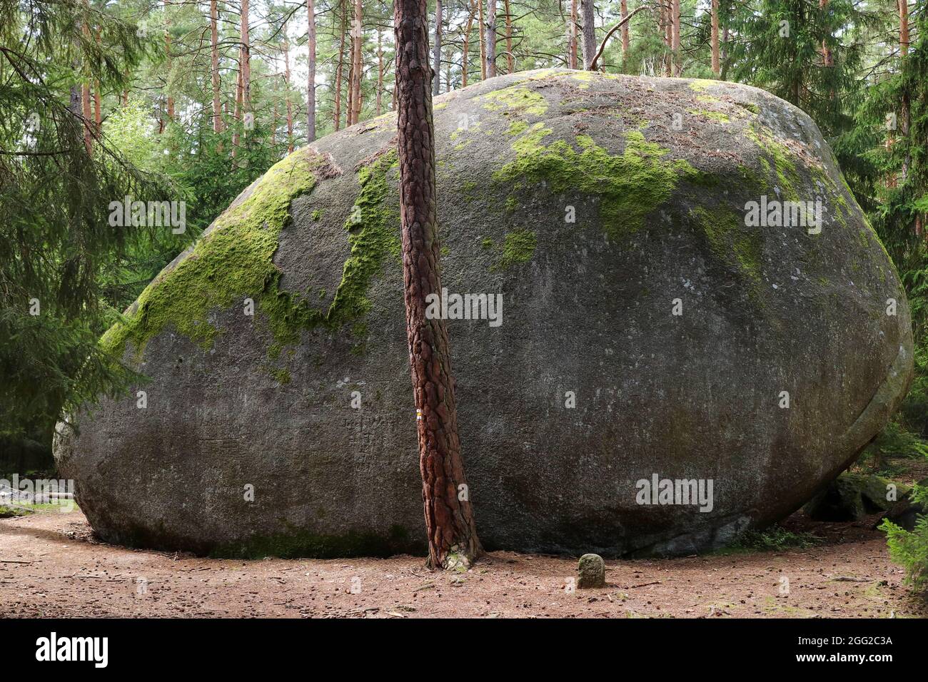 Énorme rocher de granit Old bloke, monument naturel en République tchèque Banque D'Images