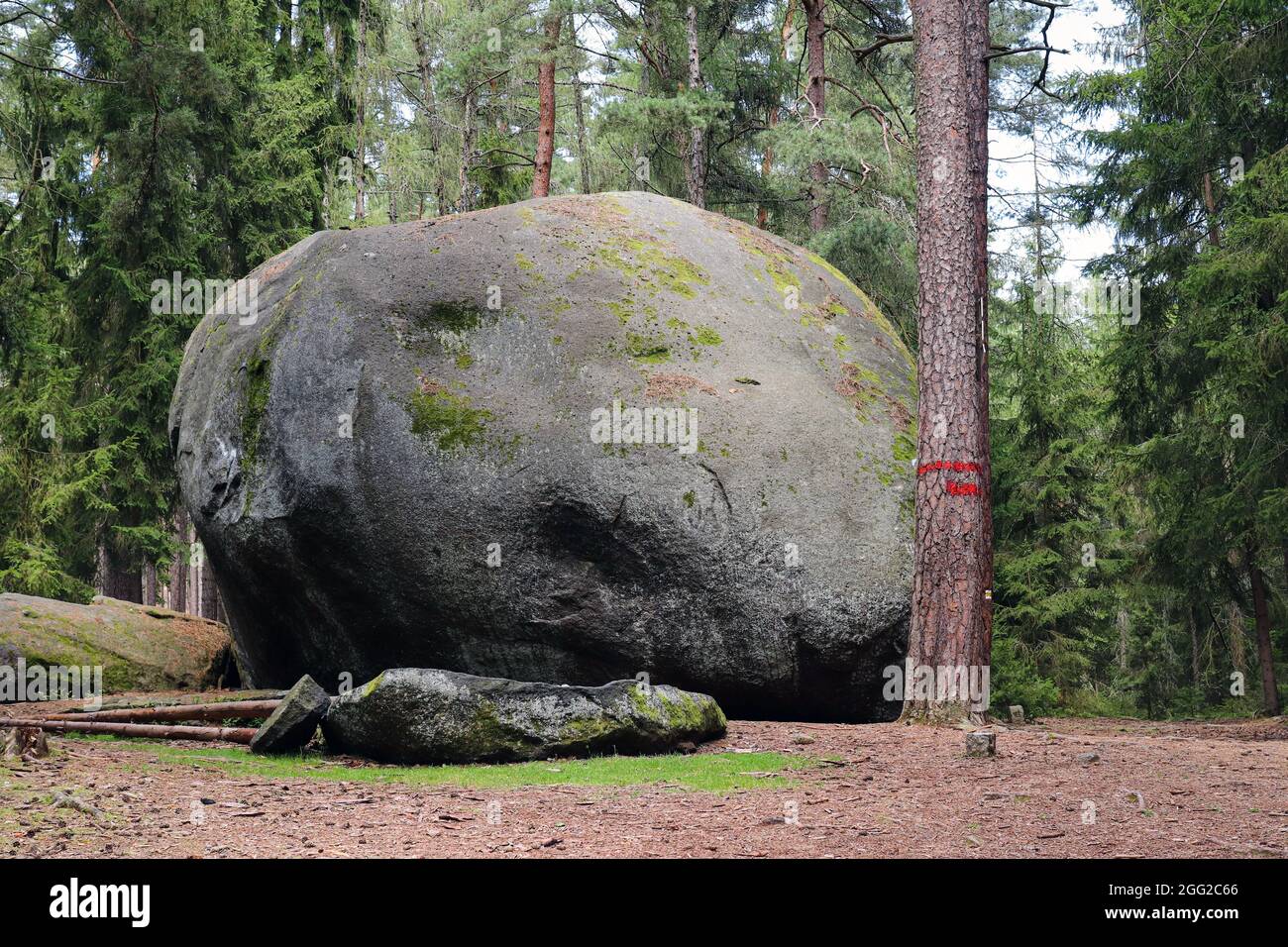 Immense rocher de granit nommé Old bloke, monument naturel en République tchèque Banque D'Images