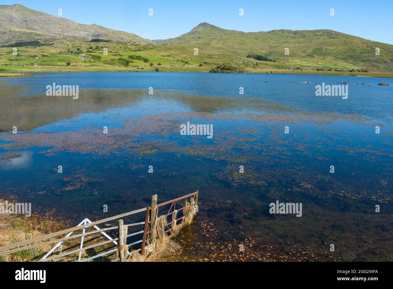 Parc national de Snowdonia pays de Galles. Lac Gader, près de la forêt de Beddgelert. Magnifique paysage d'été de calme, eaux calmes et montagnes lointaines. Ciel bleu a Banque D'Images